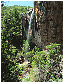 Los Parques Naturales y la población en el medio rural.